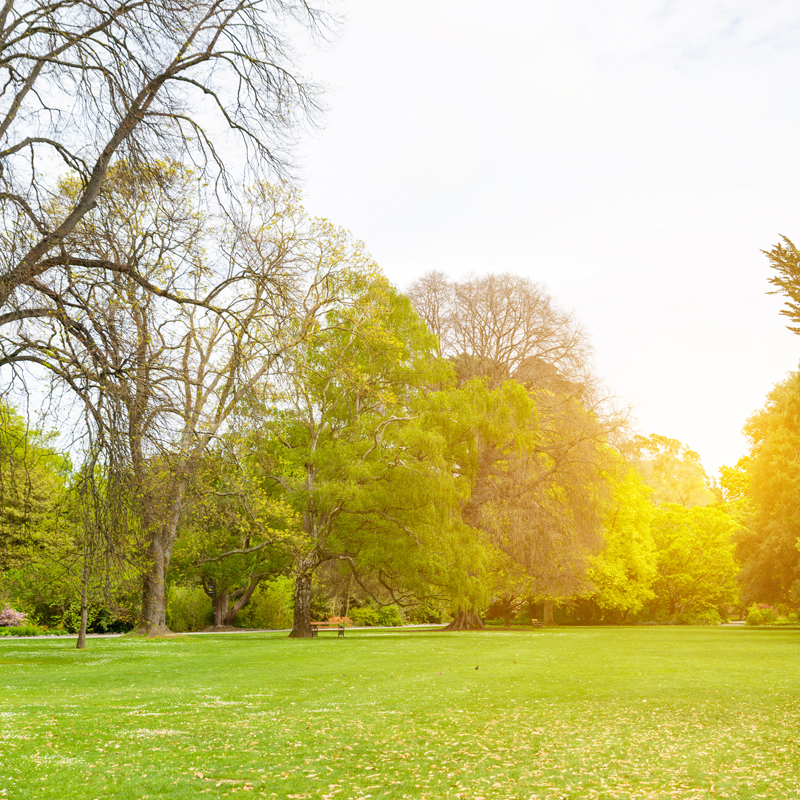 iso 14001 cevre yonetim sistemi belgelendirme iso 14001 cevre yonetim sistemi belgelendirme