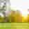 iso 14001 cevre yonetim sistemi belgelendirme